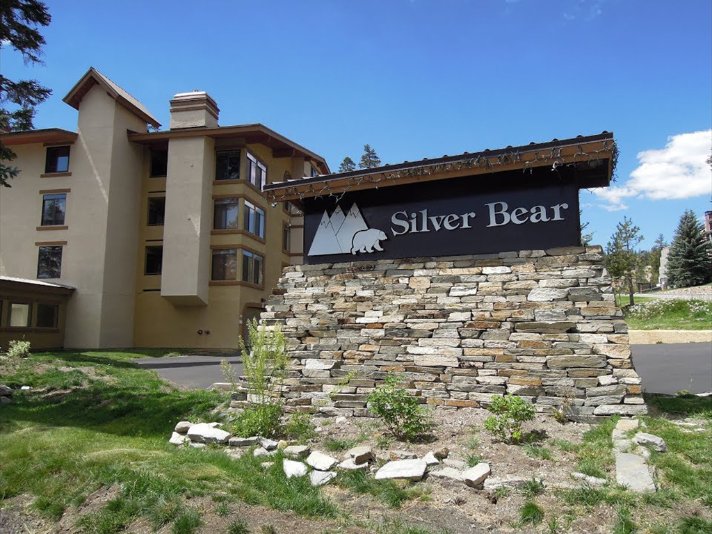 Silver Bear
